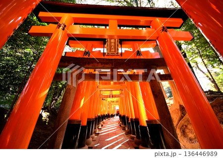 京都府　伏見稲荷大社　千本鳥居（入口付近） 京都市伏見区深草藪之内町 136446989