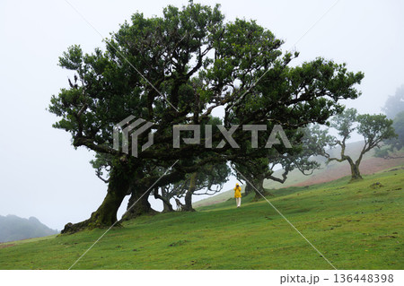 Individual capturing scene in bright rain gear amidst foggy scenery Individual capturing scene in bright rain gear amidst foggy scenery 136448398