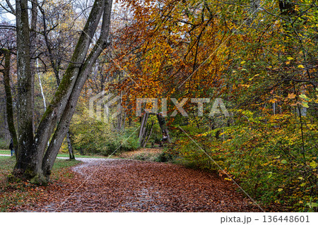 Golden autumn view in famous Munich relax place - Englischer Garten. Munich, Bavaria, Germany 136448601