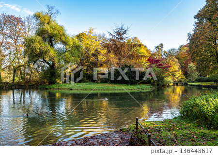 Golden autumn view in famous Munich relax place - Englischer Garten. Munich, Bavaria, Germany 136448617