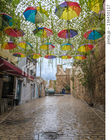 The Silent Alleys of Bizerte: A Winter Journey Through the Medina of Bizerte 136450117