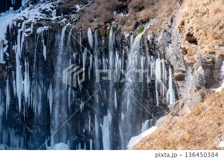 凍り付いてツララができた日光華厳の滝 136450384