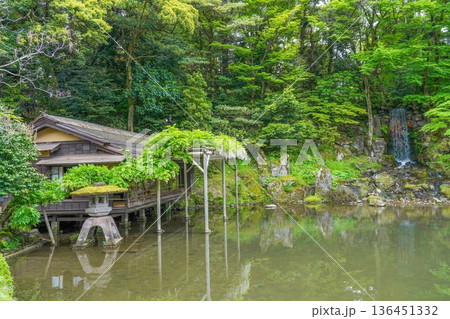 兼六園で見た新緑に包まれる伝統的な日本庭園と池に佇む茶室 136451332