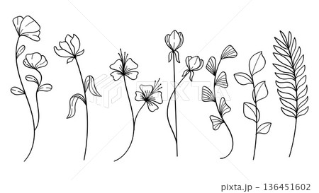 Plants Line Art Botanical Set with Whimsical Hand Drawn Flowers.Vector Illustration Plants Line Art Botanical Set with Whimsical Hand Drawn Flowers.Vector Illustration 136451602