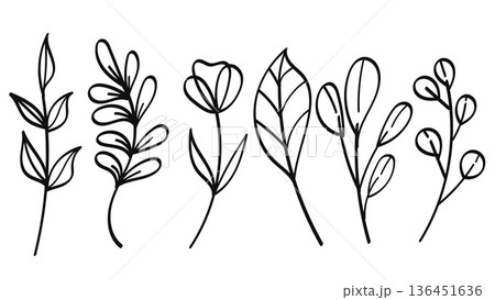 Botanical Line Art Hand Drawn Bundle Nature Elements.Vector Illustration 136451636