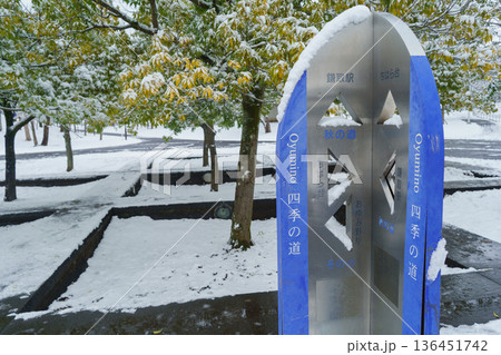 【千葉県千葉市】雪の積もる「おゆみ野・四季の道」(冬の道・秋の道の交差点)　あきのみち公園付近 136451742