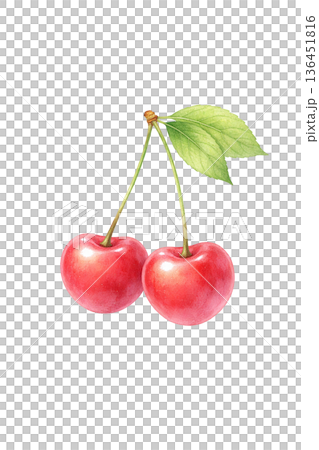 水彩風 さくらんぼ ダブルチェリー フルーツ PNG切り抜きイラスト素材 136451816