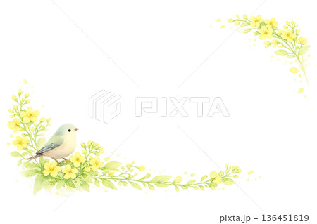 水彩風 小鳥と黄色い花のフレーム 春のPNG切り抜きイラスト素材 136451819