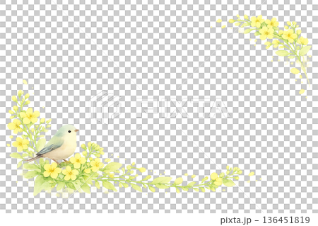 水彩風 小鳥と黄色い花のフレーム 春のPNG切り抜きイラスト素材 136451819