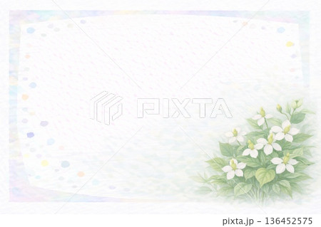 フレーム素材 花 ドクダミ フレーム素材 花 ドクダミ 136452575