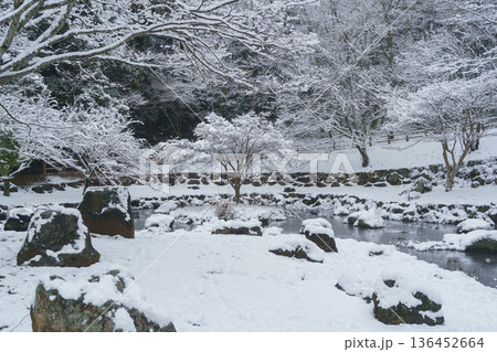 【千葉市・大百池公園】公園の池と雪の積もる冬の風景 【千葉市・大百池公園】公園の池と雪の積もる冬の風景 136452664