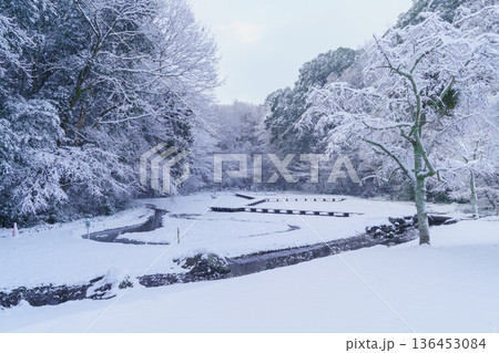 【千葉県千葉市】泉谷公園　雪の積もる菖蒲田 136453084