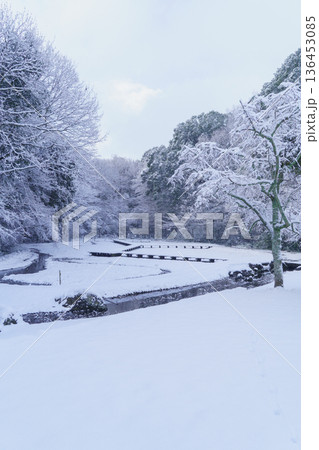 【千葉県千葉市】泉谷公園 雪の積もる菖蒲田 【千葉県千葉市】泉谷公園 雪の積もる菖蒲田 136453085