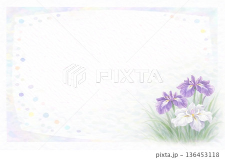 フレーム素材　花　ハナショウブ 136453118