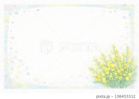 フレーム素材　花　エニシダ 136453312