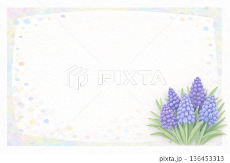 フレーム素材　花　ムスカリ 136453313