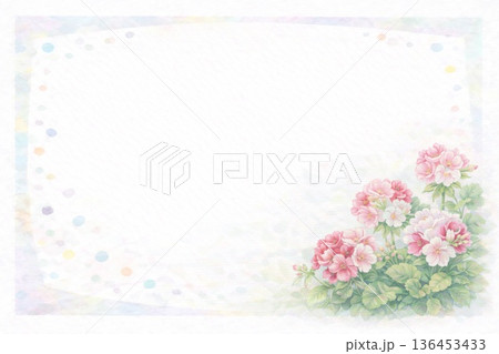 フレーム素材 花 ペラルゴニウム フレーム素材 花 ペラルゴニウム 136453433