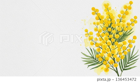 淡い水彩風の可愛いミモザの花イラスト｜春の感謝・国際女性デー 136453472