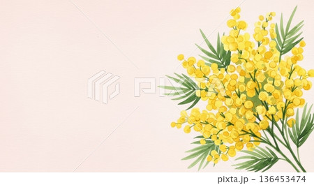 淡い水彩風の可愛いミモザの花イラスト｜春の感謝・国際女性デー 136453474