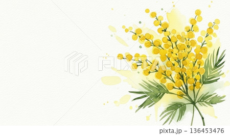 淡い水彩風の可愛いミモザの花イラスト|春の感謝・国際女性デー 淡い水彩風の可愛いミモザの花イラスト|春の感謝・国際女性デー 136453476