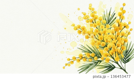 淡い水彩風の可愛いミモザの花イラスト｜春の感謝・国際女性デー 136453477