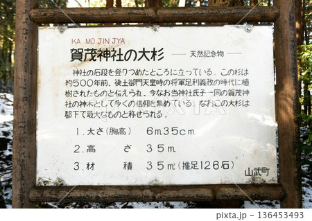 【山武市 山武市指定天然記念物 御神木「賀茂神社」大杉の案内板】 【山武市 山武市指定天然記念物 御神木「賀茂神社」大杉の案内板】 136453493