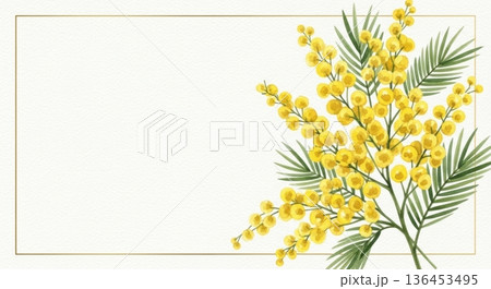 淡い水彩風の可愛いミモザの花イラスト｜春の感謝・国際女性デー 136453495