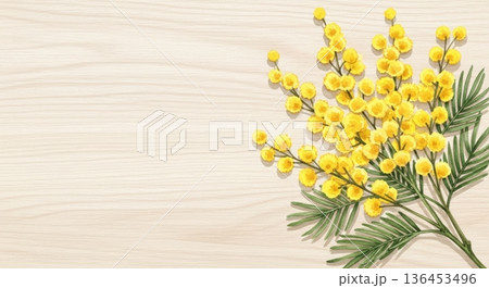 淡い水彩風の可愛いミモザの花イラスト｜春の感謝・国際女性デー 136453496