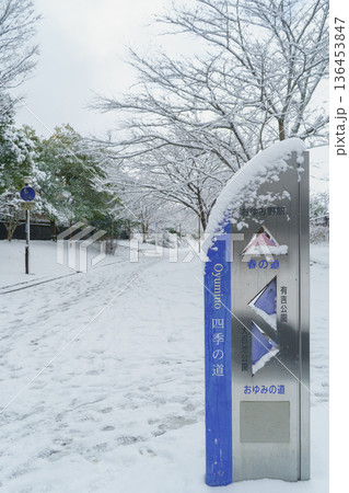 【千葉県千葉市】おゆみ野四季の道・雪の積もる「春の道」 【千葉県千葉市】おゆみ野四季の道・雪の積もる「春の道」 136453847