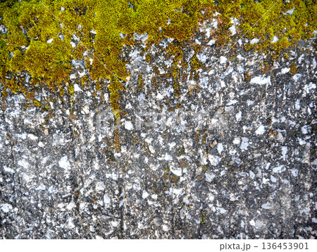 経年劣化した苔と石の背景素材 経年劣化した苔と石の背景素材 136453901