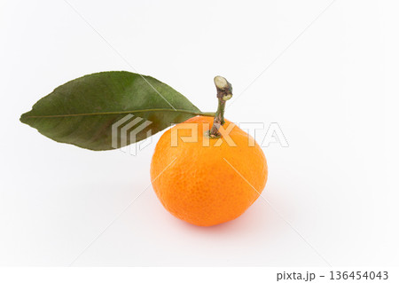 白背景に葉っぱ付きの1個のダイダイ(橙) 白背景に葉っぱ付きの1個のダイダイ(橙) 136454043
