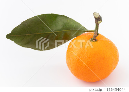 白背景に葉っぱ付きの1個のダイダイ（橙） 136454044