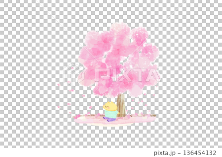 Spring watercolor illustration of a cute cat enjoying cherry blossoms 136454132