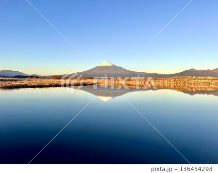 富士川と富士山 富士川と富士山 136454298