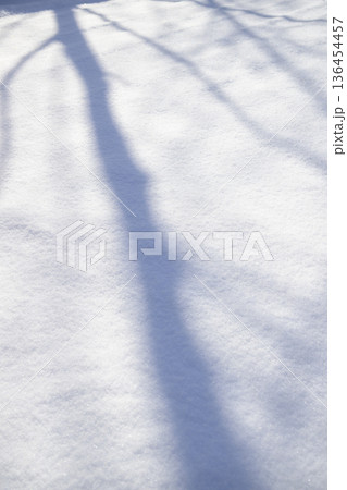 雪と木の影のバックグラウンド 136454457