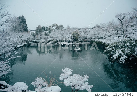 雪の積もった永観堂 136454640