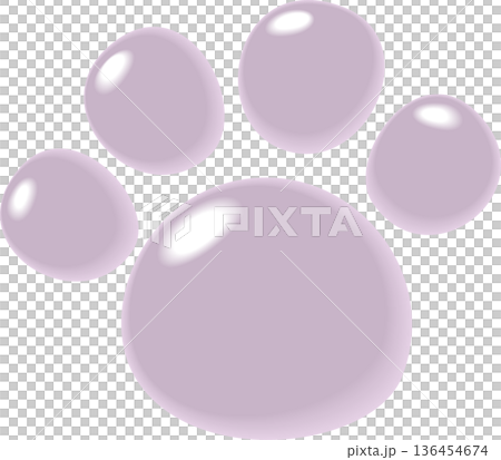 淡い紫色の犬のぷっくり足跡 136454674