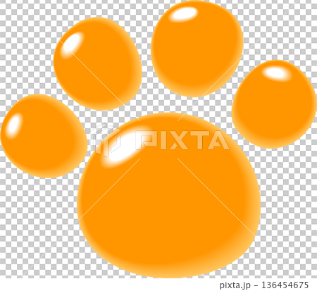 橙色小狗的毛茸茸的腳印 橙色小狗的毛茸茸的腳印 136454675