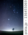 オリオンの夜と神秘の木 136455069