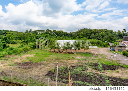 Greenhouse for organic vegetables. The thatched roof will keep out bugs. 136455162