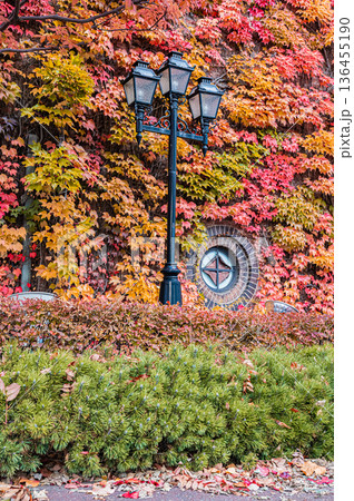 北海道札幌市 秋の札幌ファクトリーと紅葉の風景 北海道札幌市 秋の札幌ファクトリーと紅葉の風景 136455190
