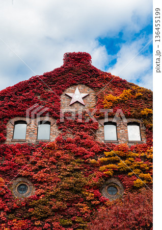 北海道札幌市 秋の札幌ファクトリーと紅葉の風景 136455199
