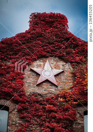 北海道札幌市 秋の札幌ファクトリーと紅葉の風景 136455205