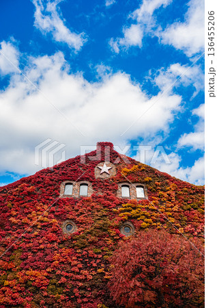 北海道札幌市 秋の札幌ファクトリーと紅葉の風景 136455206