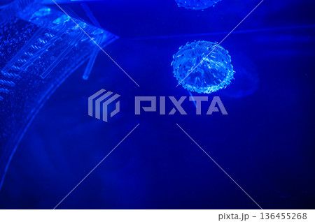 愛知県名古屋市 名古屋港水族館　 136455268