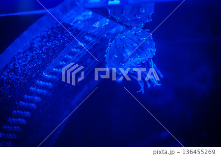 愛知県名古屋市 名古屋港水族館　 136455269