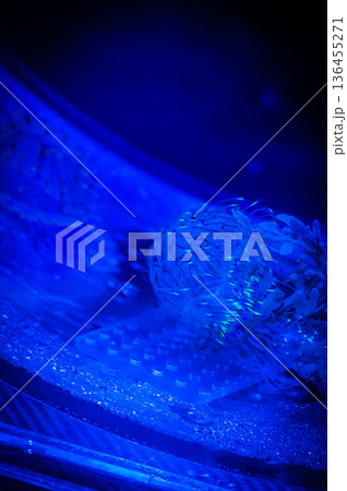 愛知県名古屋市 名古屋港水族館　 136455271