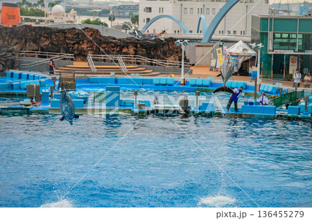 愛知県名古屋市 名古屋港水族館　 136455279