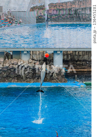 愛知県名古屋市 名古屋港水族館 愛知県名古屋市 名古屋港水族館 136455281