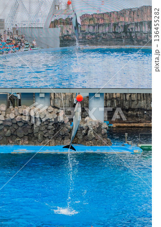 愛知県名古屋市 名古屋港水族館 愛知県名古屋市 名古屋港水族館 136455282
